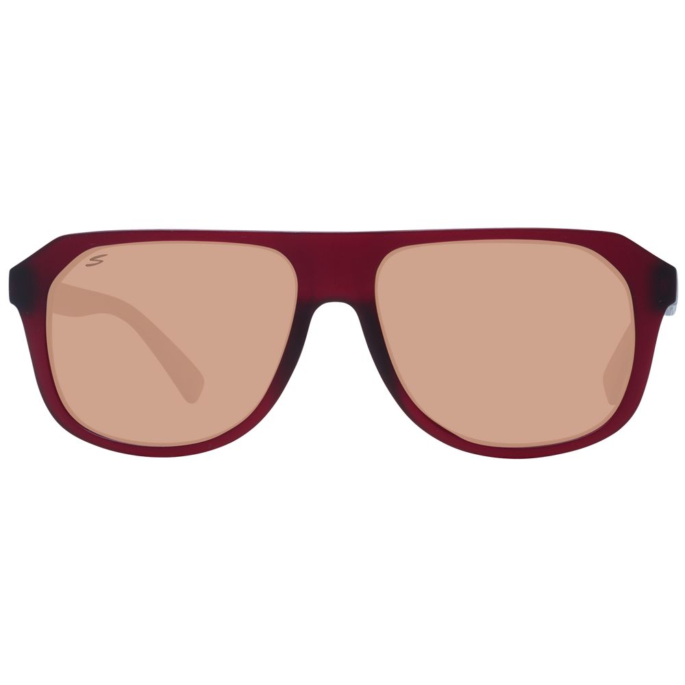 Serengeti Burgundy Men Sunglass