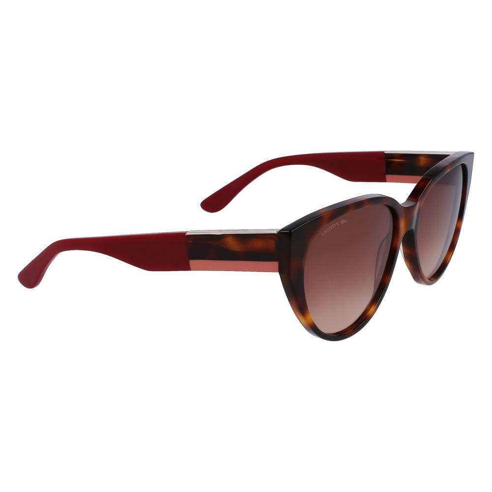 Lacoste brown acetate sunglasses for women, L985S-240 model, with 59mm lenses, 16mm bridge, 140mm temple, filter 3 protection.