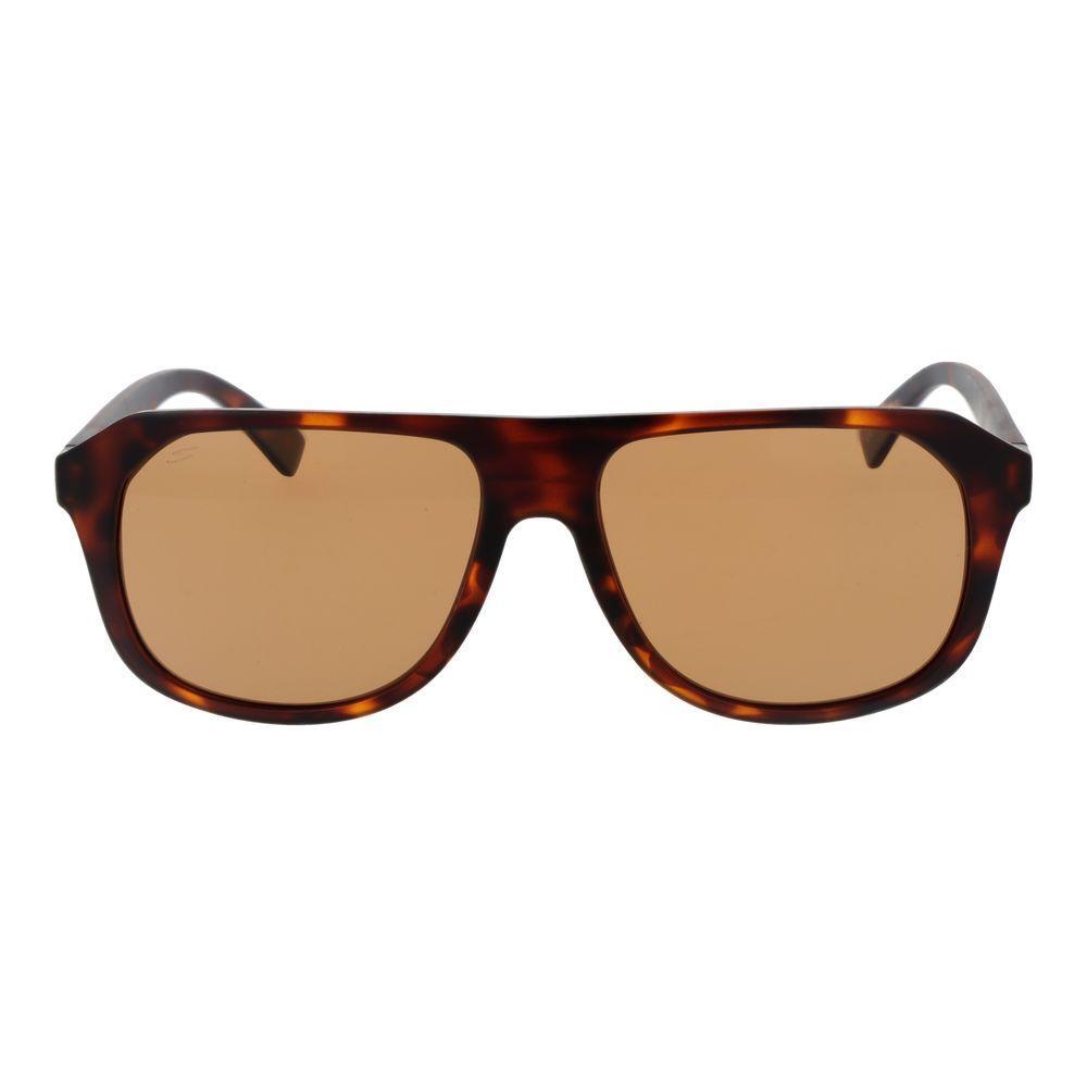 Serengeti Brown Men Sunglasses SE-1055848