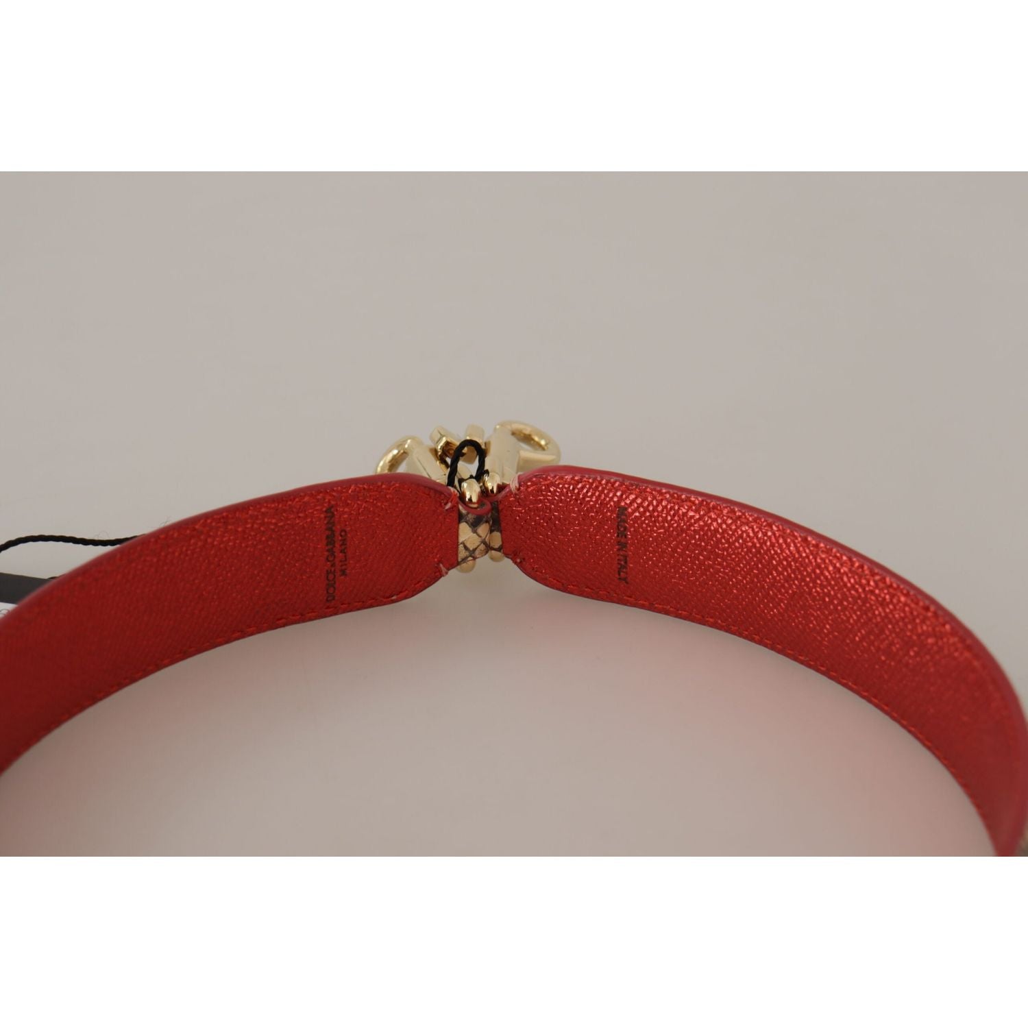 优雅的米色蟒蛇皮包带