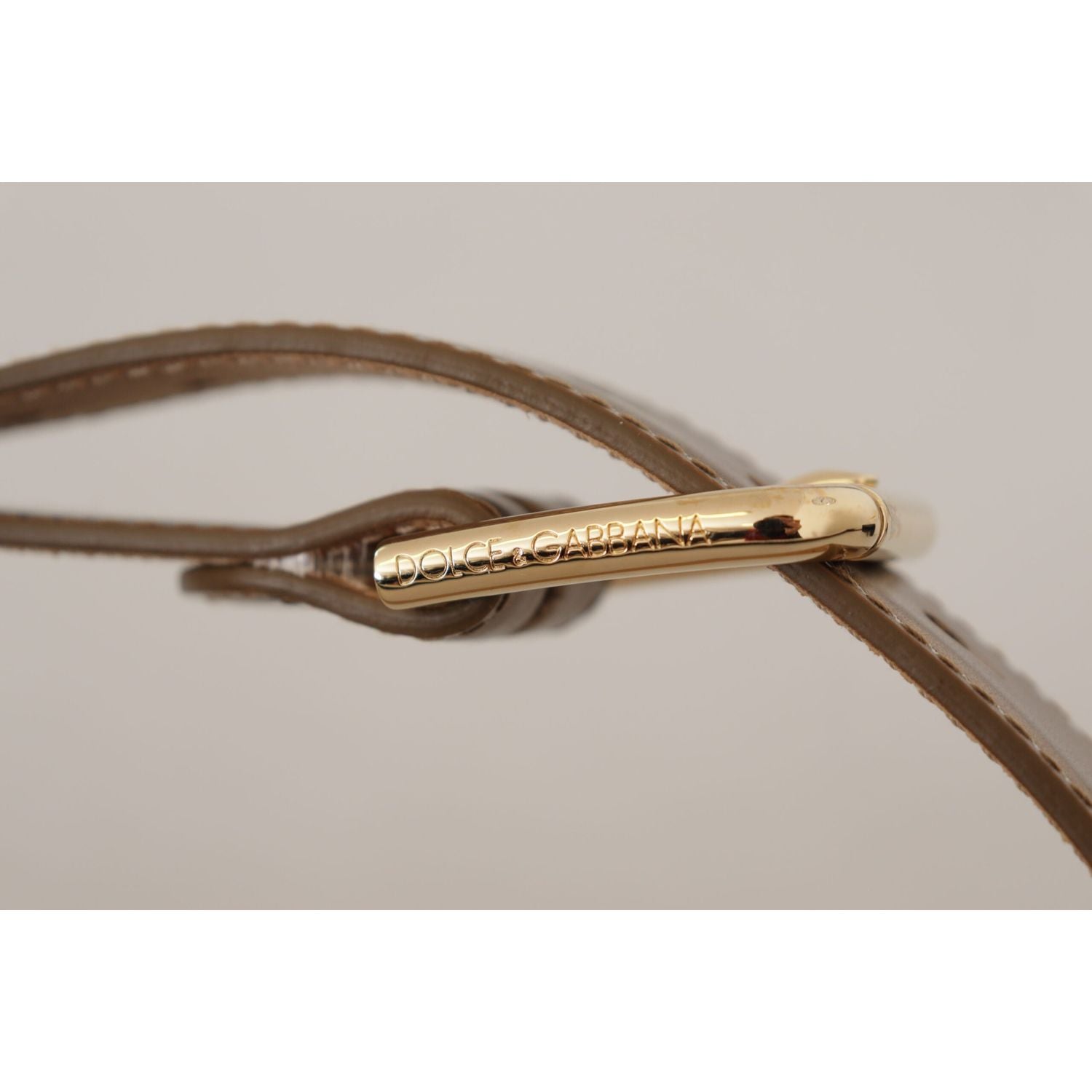 配金色扣环的青铜皮带