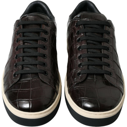 Dolce & Gabbana Brown Croc Exotic Leather Men Casual Sneakers Shoes