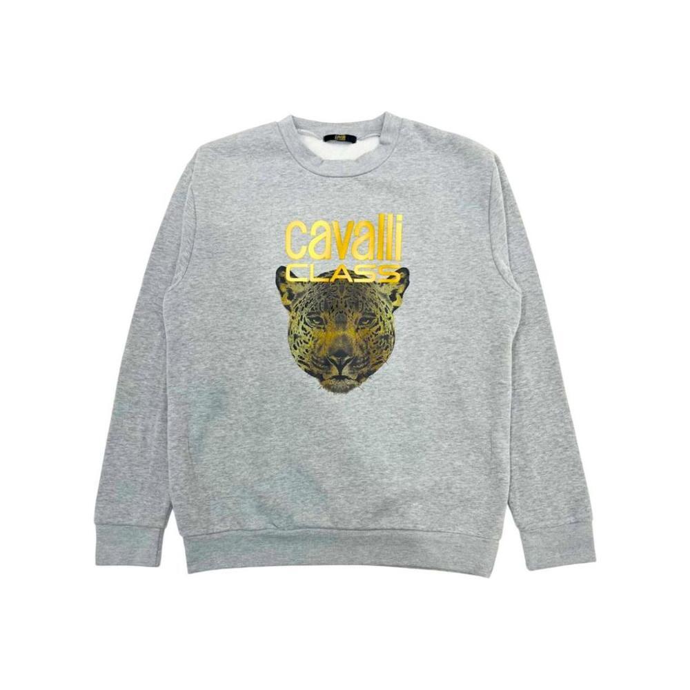 Cavalli Class Gray Polyester Women Hoodie