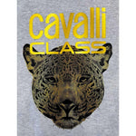 Cavalli Class Gray Polyester Women Hoodie