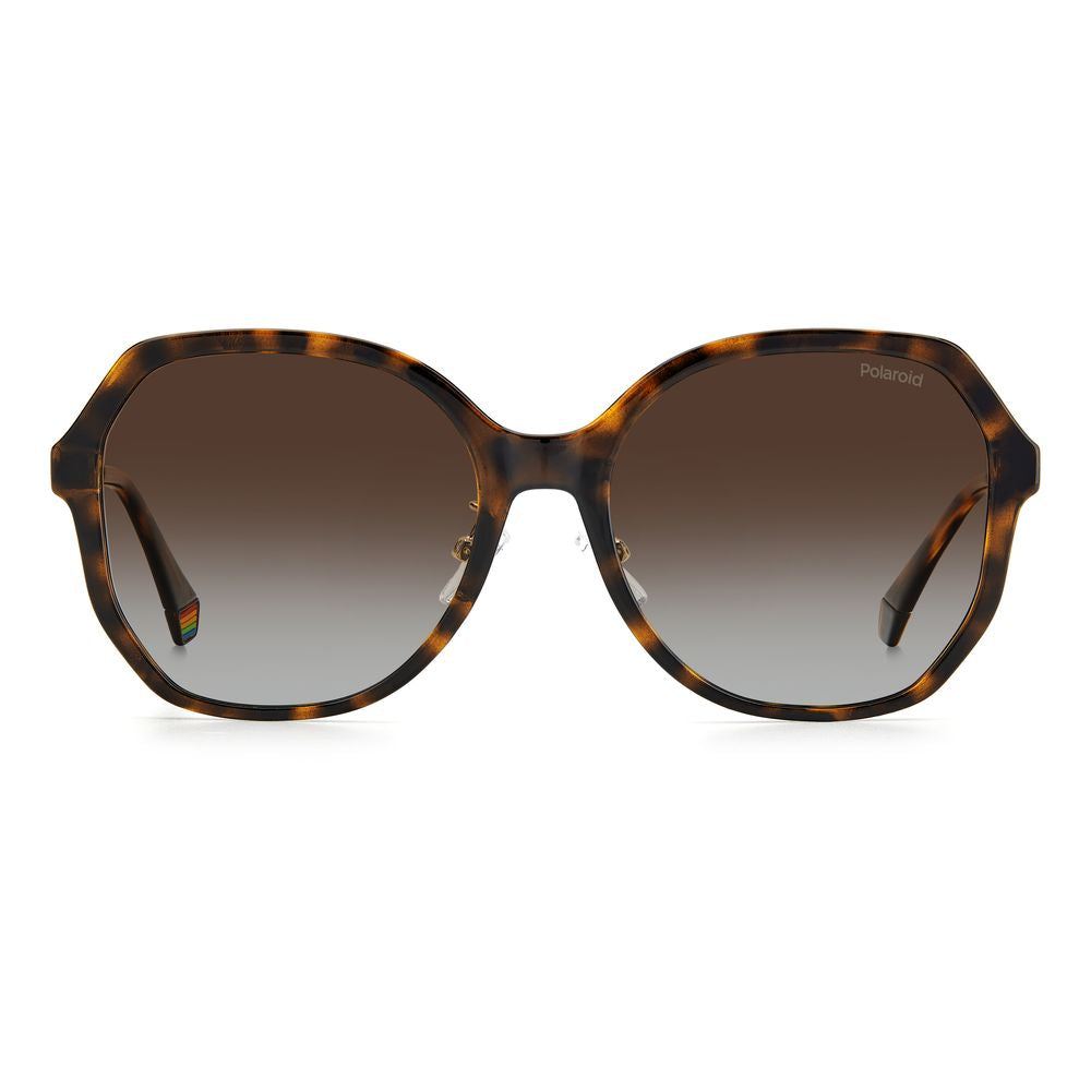 Polaroid Brown Plastic Sunglasses