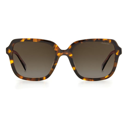 Polaroid Brown Acetate Sunglasses POPLD4095SX086F3LAAC
