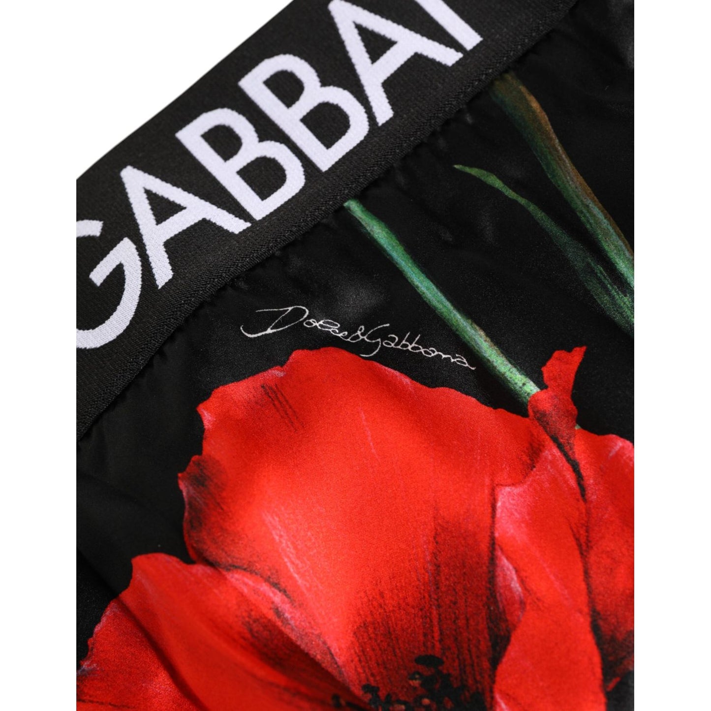 Dolce & Gabbana Black Floral Print High Waist Sheer Mesh Underwear with red poppy design and logo waistband.