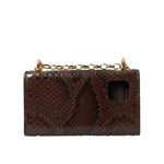 Dolce & Gabbana Brown Python Leather DG Girls Crossbody Phone Bag with chain and snakeskin print, showing back design and gold accents.