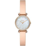 FOSSIL WATCHES Mod. BQ3894 BQ3894
