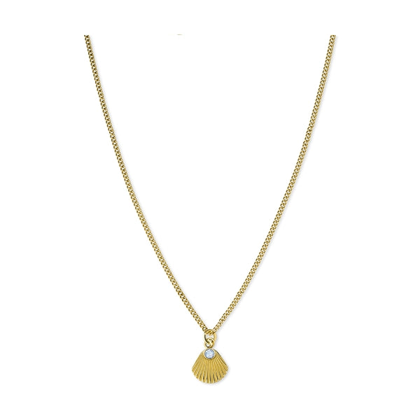 ROSEFIELD JEWELS JEWELRY Mod. JPNSCG-J268 gold shell necklace with diamond accent