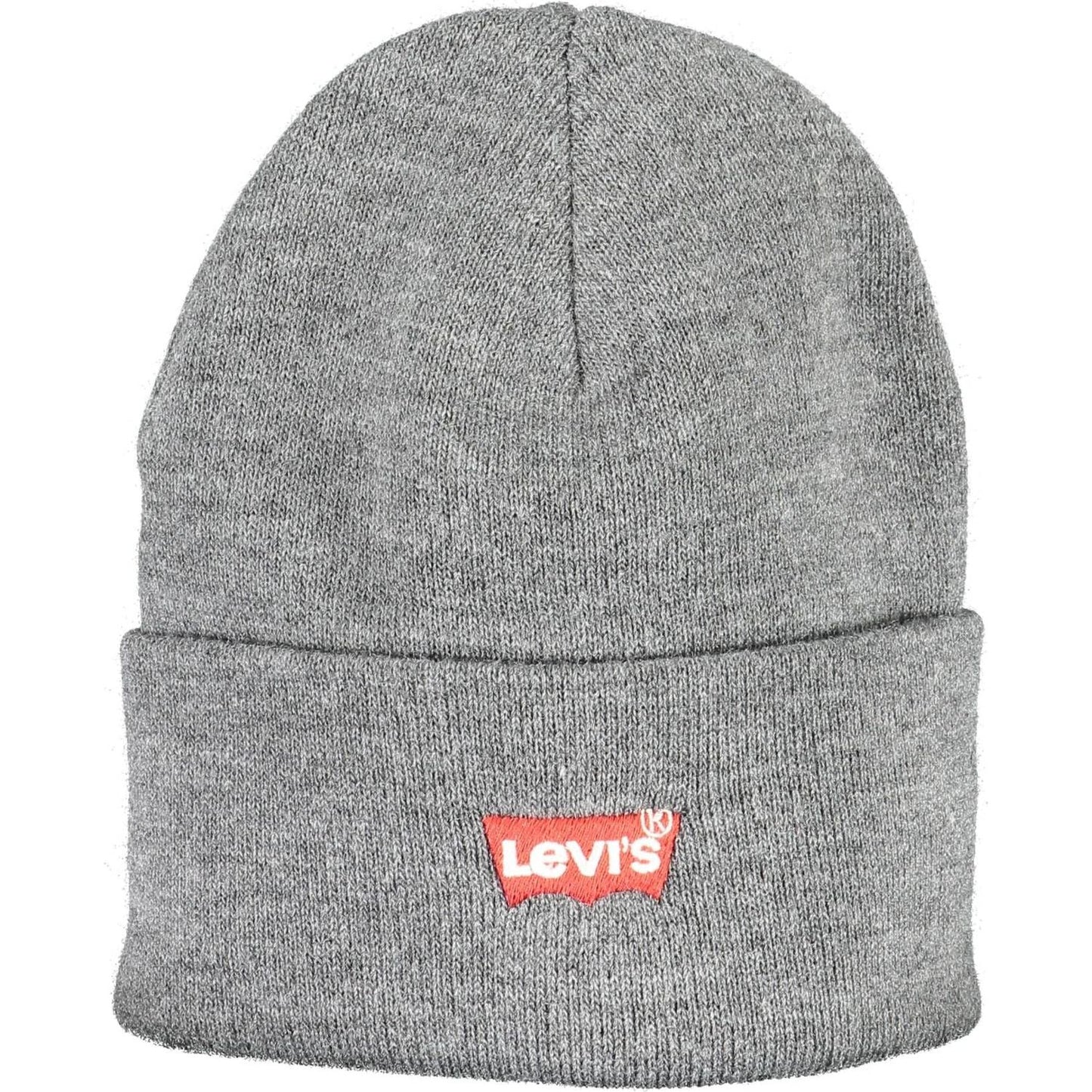 Chic Embroidered Logo Cap in Gray Levi's