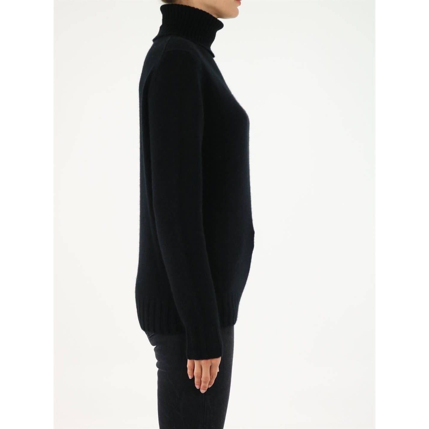 ALLUDE Allude Black Roll-Neck Cashmere Sweater allude-black-roll-neck-cashmere-sweater WOMAN KNITWEAR MjkyMjky.jpg