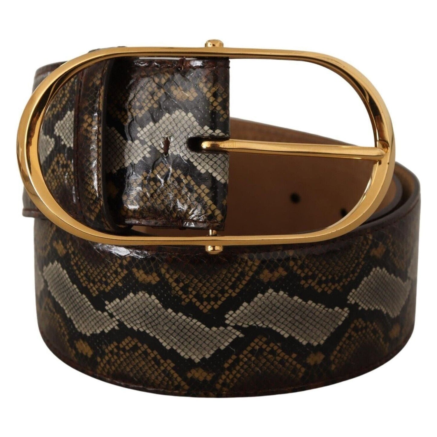 Dolce & Gabbana Elegant Gold Oval Buckle Leather Belt brown-python-leather-gold-oval-buckle-belt WOMAN BELTS s-l1600-1-277-8a85a034-74b.jpg