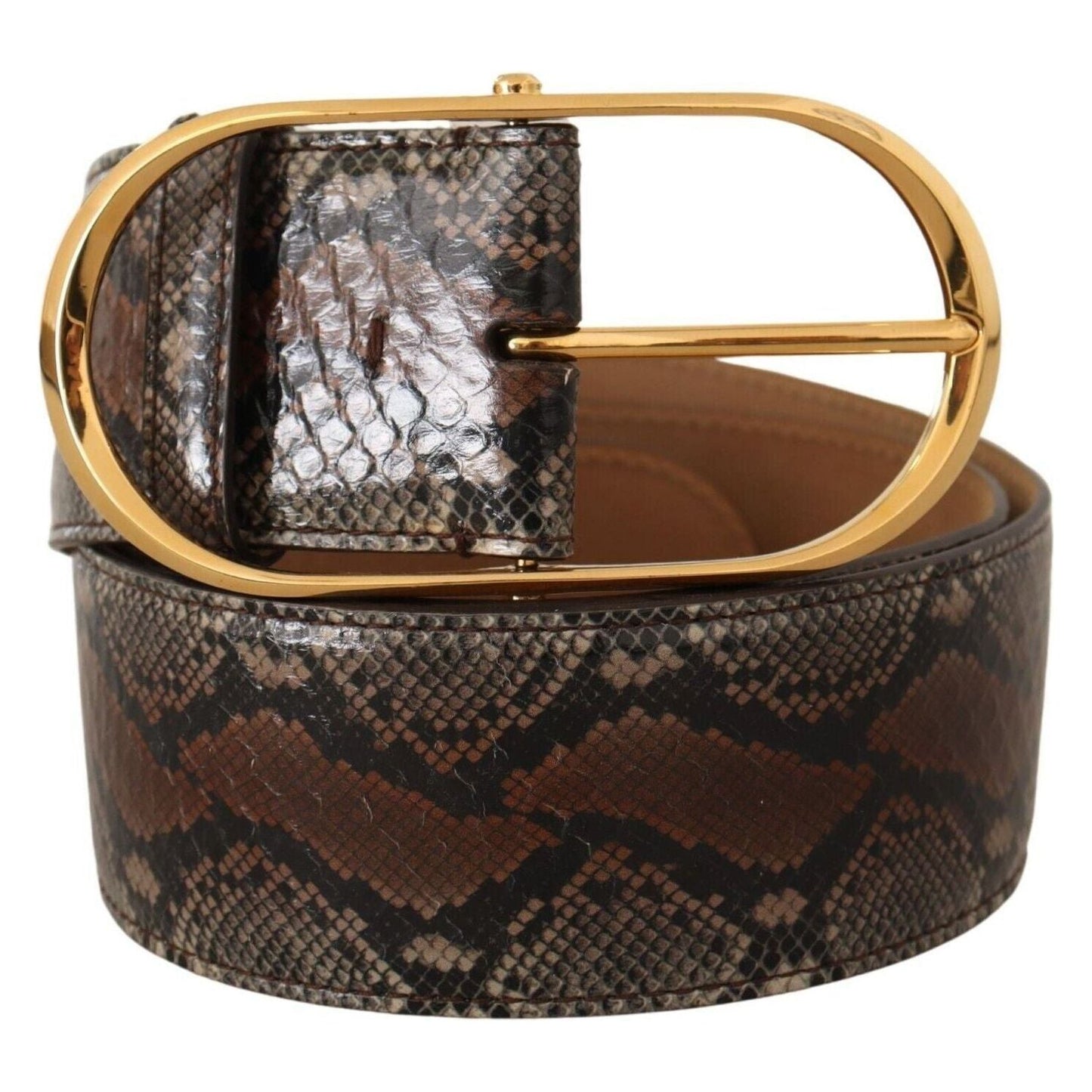 Dolce & Gabbana Elegant Brown Leather Belt with Gold Buckle brown-exotic-leather-gold-oval-buckle-belt-5 WOMAN BELTS s-l1600-1-278-47700b6f-551.jpg