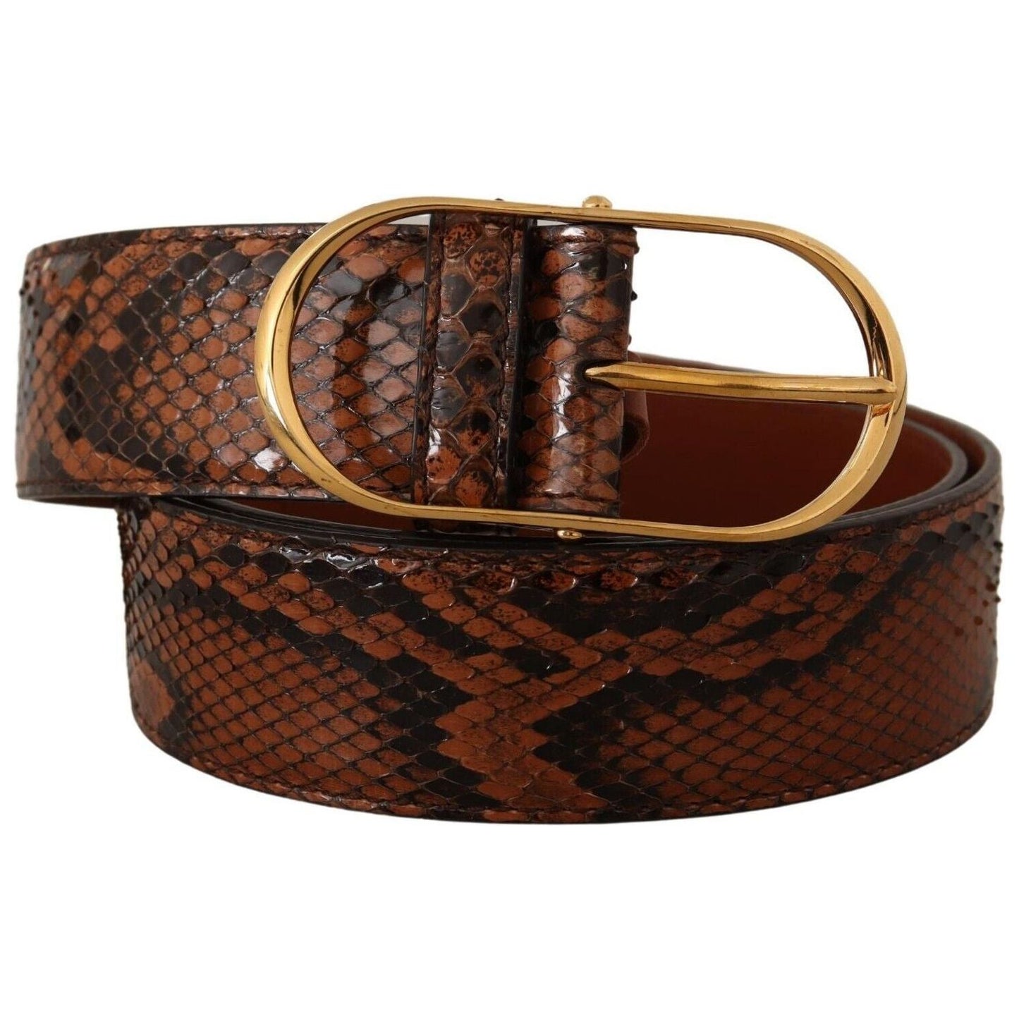 Dolce & Gabbana Elegant Leather Belt with Gold Buckle brown-exotic-leather-gold-oval-buckle-belt-7 s-l1600-1-286-8c1c6239-220.jpg