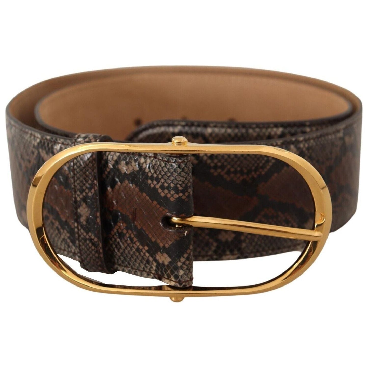 Dolce & Gabbana Elegant Brown Leather Belt with Gold Buckle brown-exotic-leather-gold-oval-buckle-belt-5 WOMAN BELTS s-l1600-2-276-f01ab159-7ee.jpg