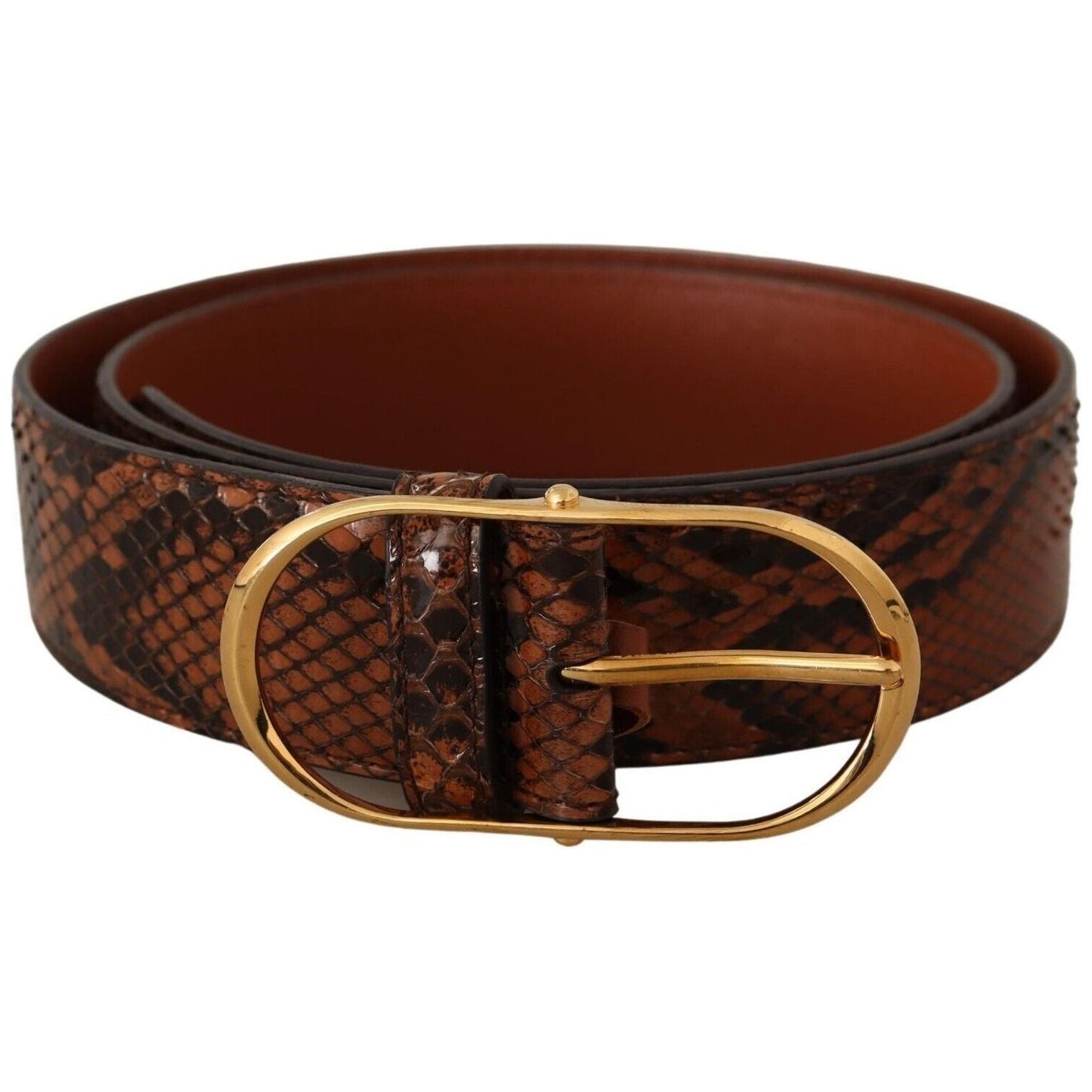 Dolce & Gabbana Elegant Leather Belt with Gold Buckle brown-exotic-leather-gold-oval-buckle-belt-7 s-l1600-2-283-8be1791a-ff8.jpg