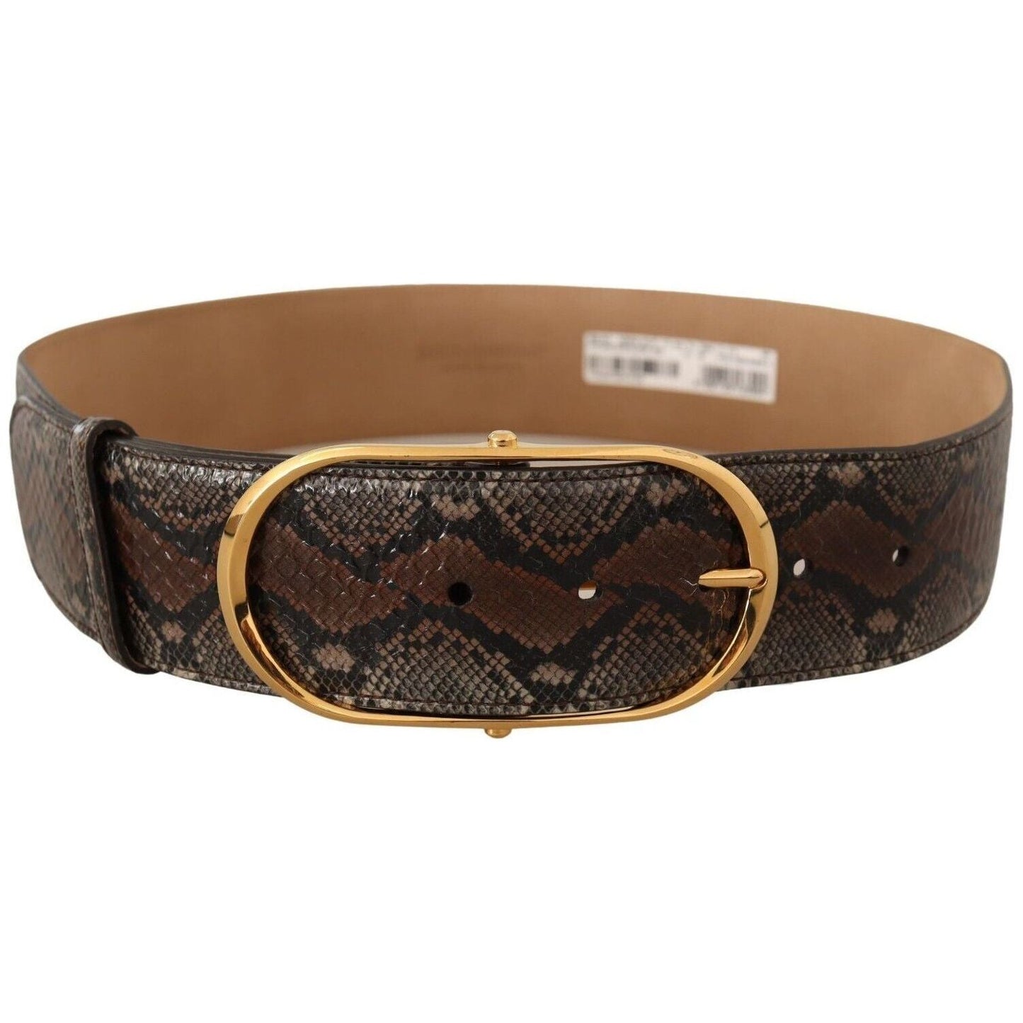 Dolce & Gabbana Elegant Brown Leather Belt with Gold Buckle brown-exotic-leather-gold-oval-buckle-belt-5 WOMAN BELTS s-l1600-282-c2e0bab2-b3c.jpg