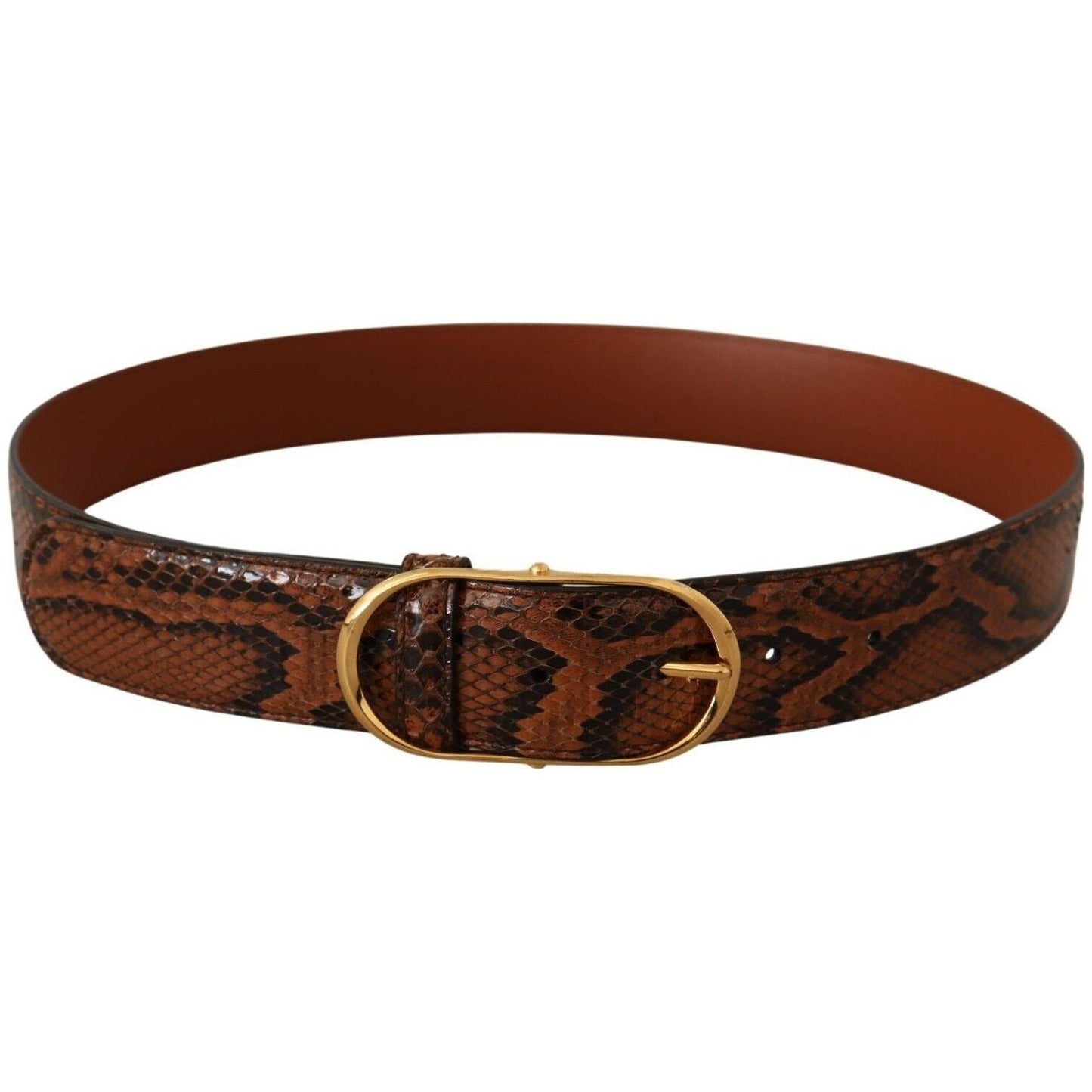 Dolce & Gabbana Elegant Leather Belt with Gold Buckle brown-exotic-leather-gold-oval-buckle-belt-7 s-l1600-290-4f2526cd-456.jpg
