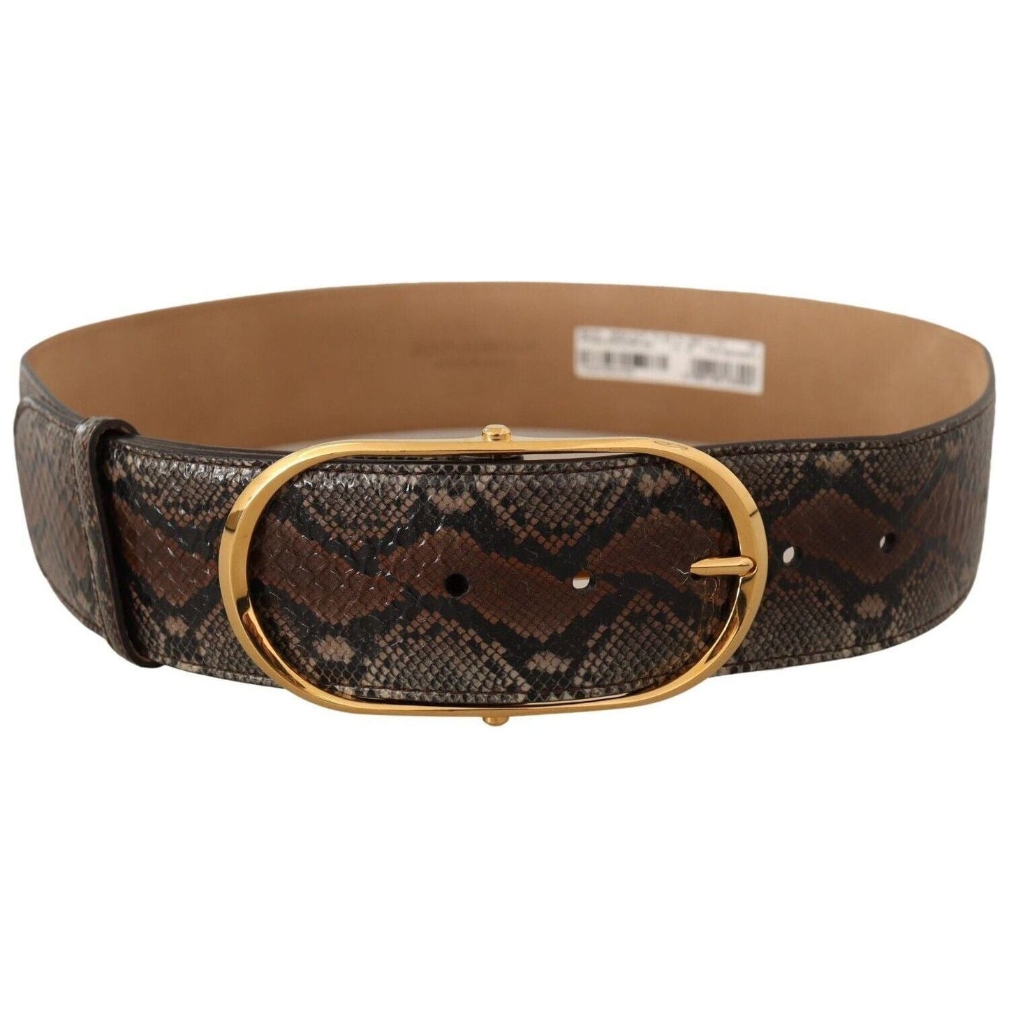 Dolce & Gabbana Elegant Brown Leather Belt with Gold Buckle brown-exotic-leather-gold-oval-buckle-belt-5 WOMAN BELTS s-l1600-3-216-6282e359-671.jpg